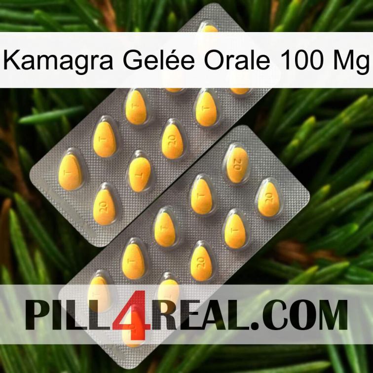 Kamagra Gelée Orale 100 Mg cialis2